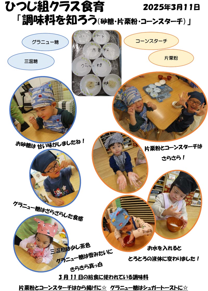〈ひつじ組〉調味料を知ろう 〜砂糖・片栗粉・コーンスターチ〜