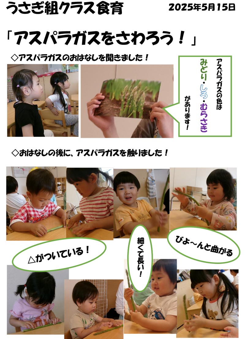 〈うさぎ組〉アスパラガスをさわろう！