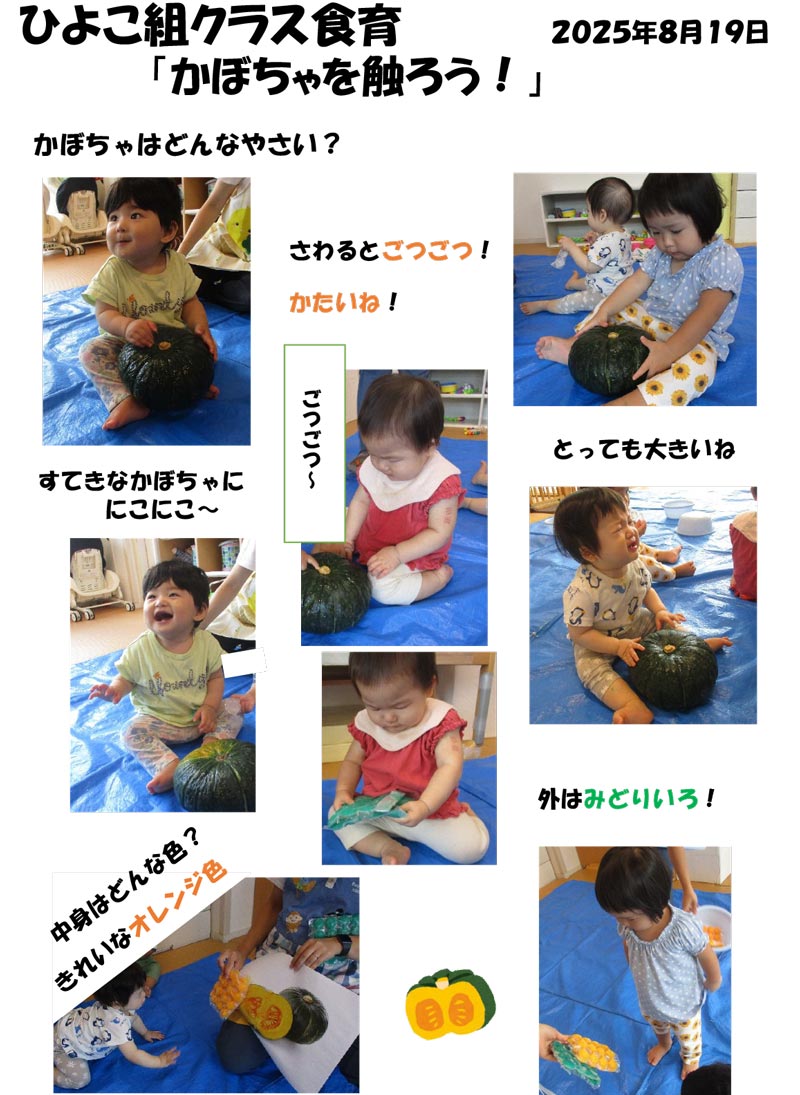 〈ひよこ組〉かぼちゃを触ろう！