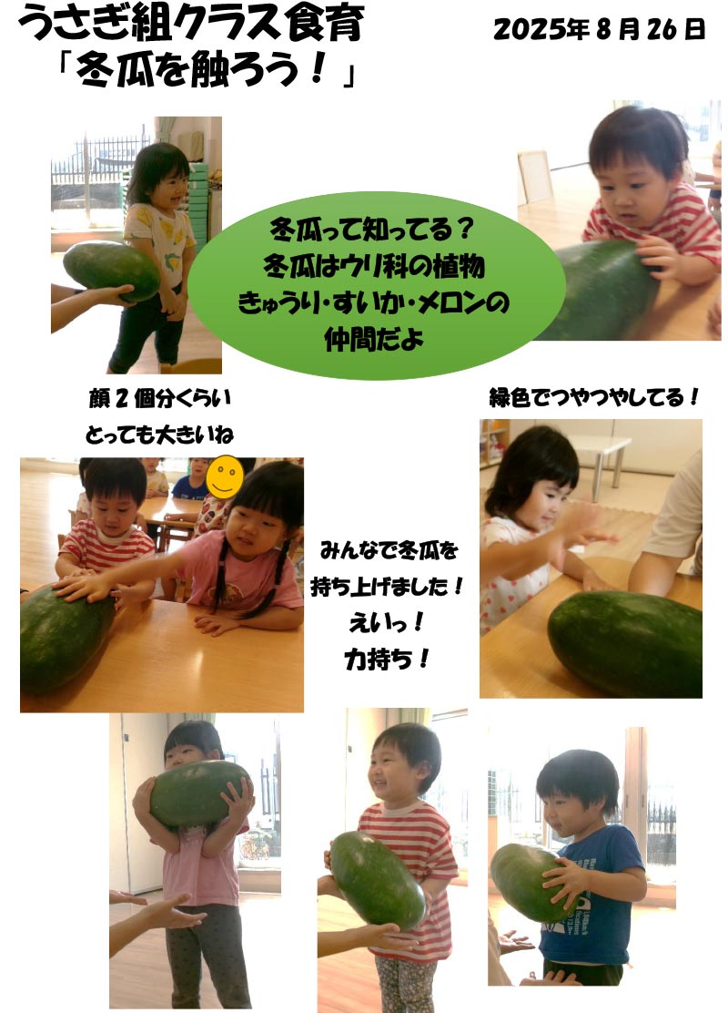 〈うさぎ組〉冬瓜を触ろう！