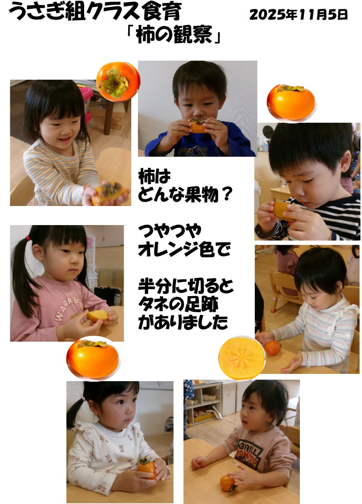 〈うさぎ組〉柿の観察