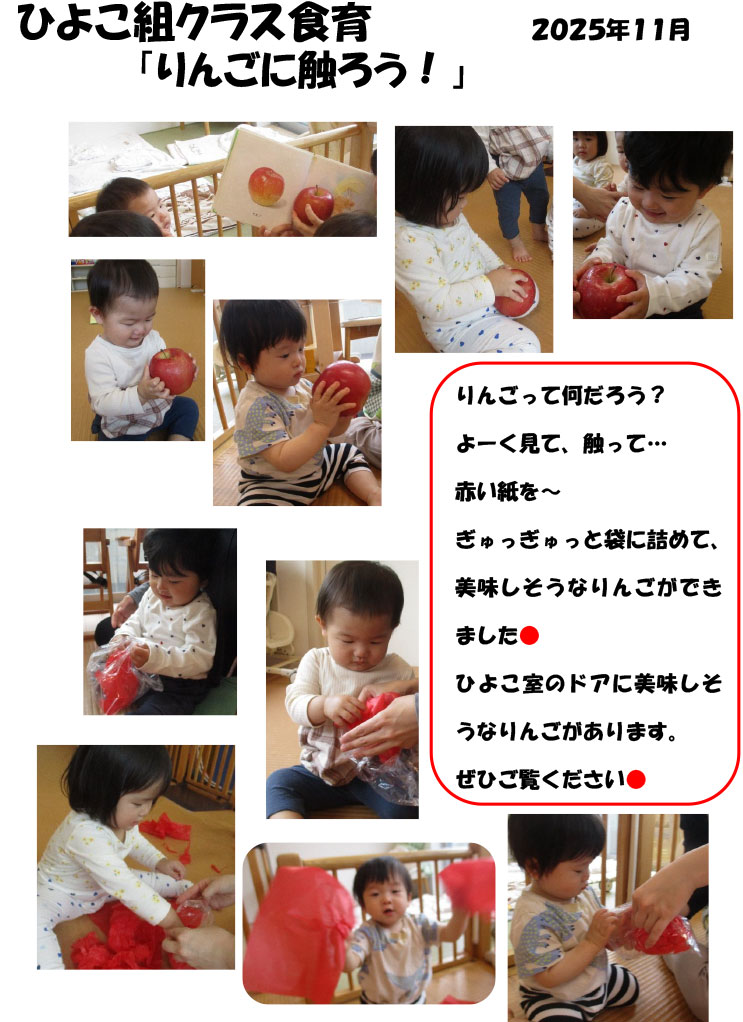 〈ひよこ組〉りんごに触ろう!
