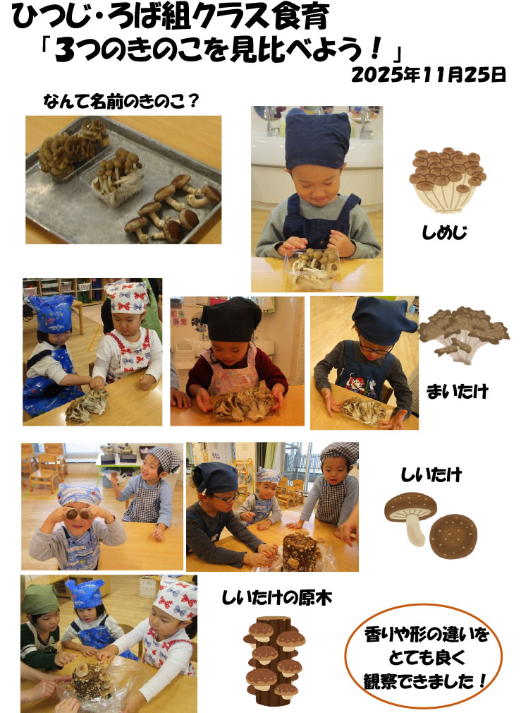 〈ひつじ・ろば組〉3つのきのこを見比べよう!