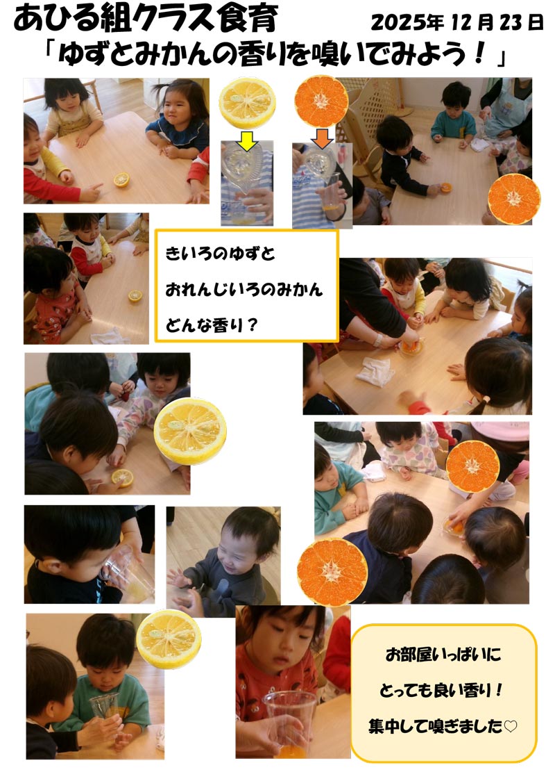 〈あひる組〉ゆずとみかんの香りを嗅いでみよう!