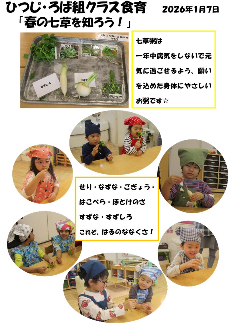 〈ひつじ・ろば組〉春の七草を知ろう!