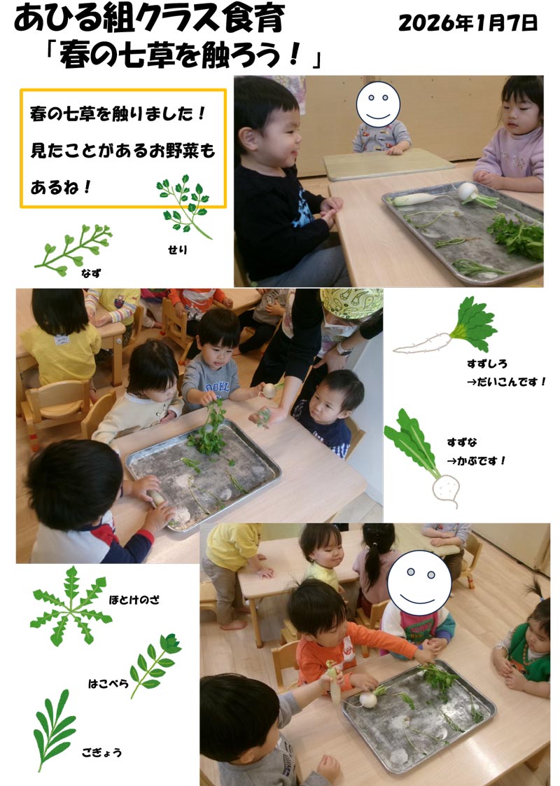 〈あひる組〉春の七草を触ろう!