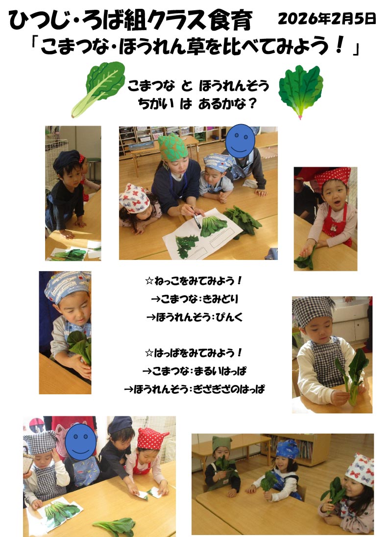 〈ひつじ・ろば組〉こまつな・ほうれん草を比べてみよう！