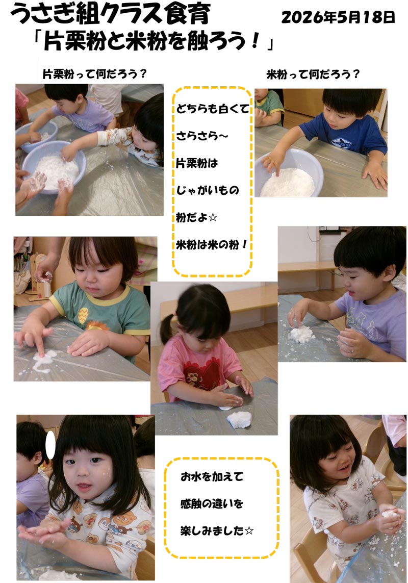 〈うさぎ組〉片栗粉と米粉を触ろう!