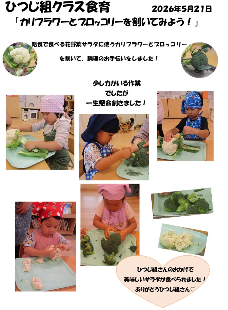 〈ひつじ組〉カリフラワーとブロッコリーを割いてみよう!
