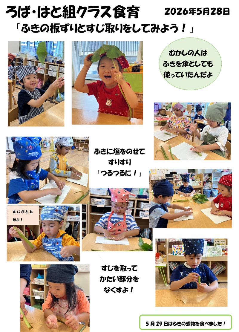 〈ろば・はと組〉ふきの板ずりとすじ取りをしてみよう!