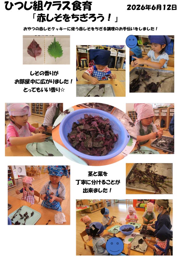 〈ひつじ組〉赤しそをちぎろう！
