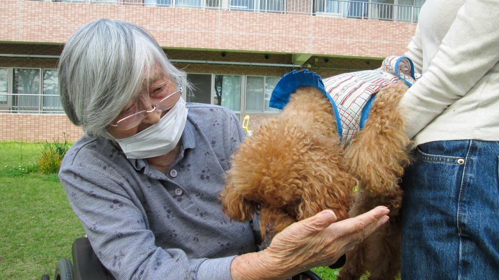 わんちゃん来園