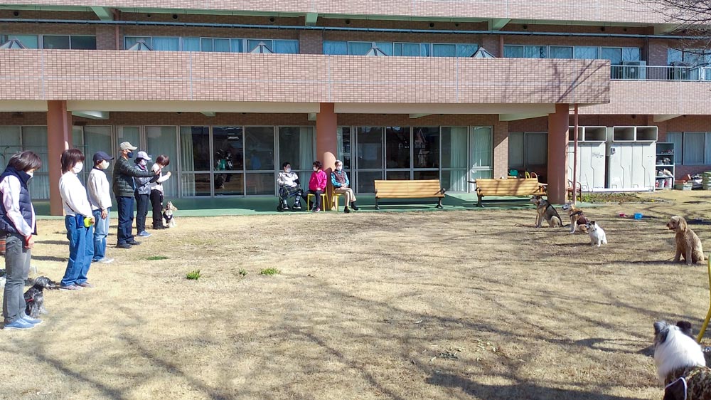 わんちゃん来園