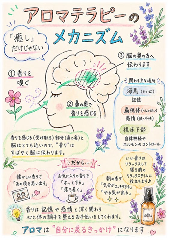 メンタルヘルス勉強会を実施しました