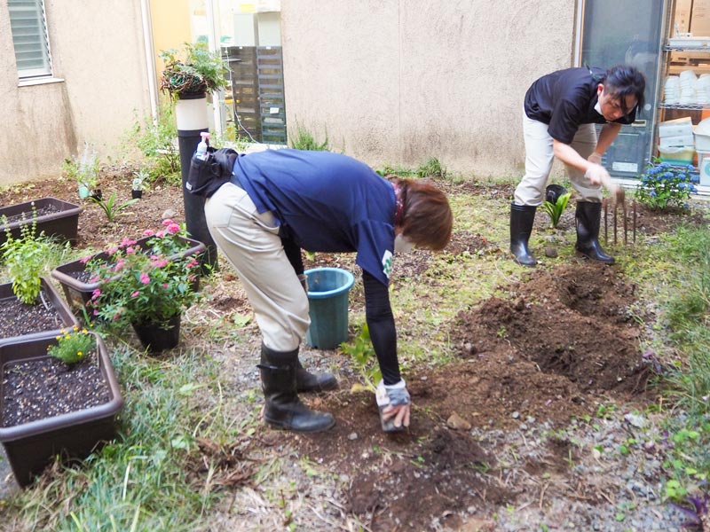 ガーデニング始めました