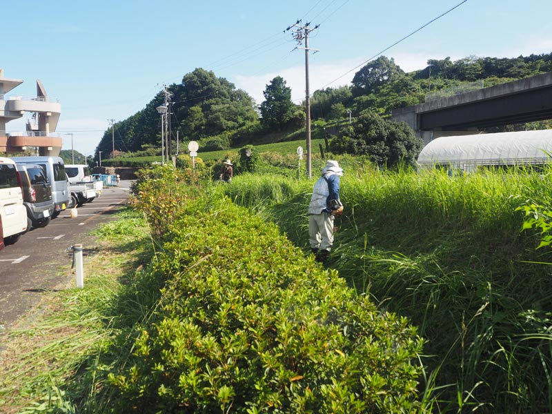 民生委員さんとの美化活動